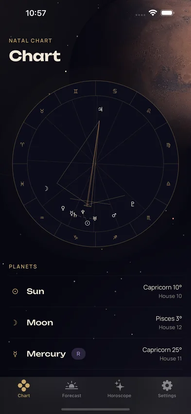 Natal chart screen